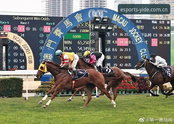 亿德体育平台教程深度评测——以创新视角解锁电竞竞猜新体验